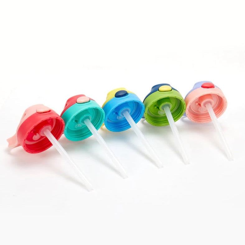 Sports Bottle Replacement Lid 12/20oz - Assorted