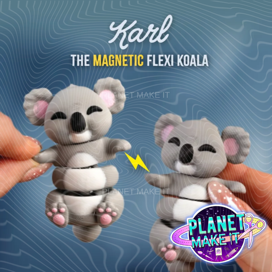 Karl The Koala - Keychain/Fidget
