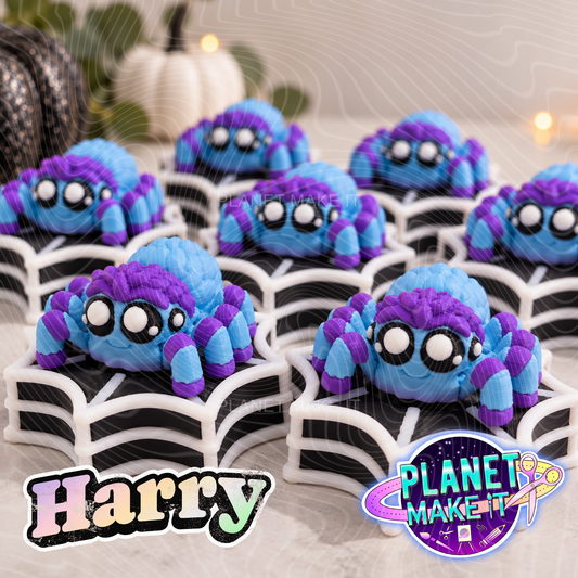 Harry The Jumping Spider - Sensory Clicker